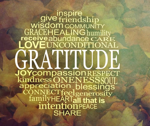 Gratitude collage